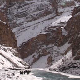 Chadar: The Ice Trail