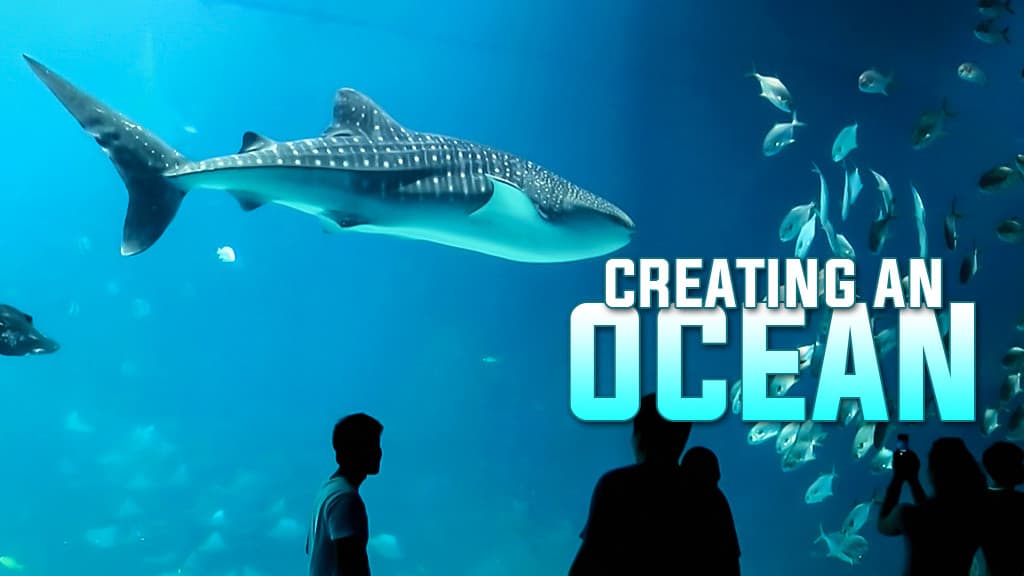 Creating An Ocean Creating An Ocean