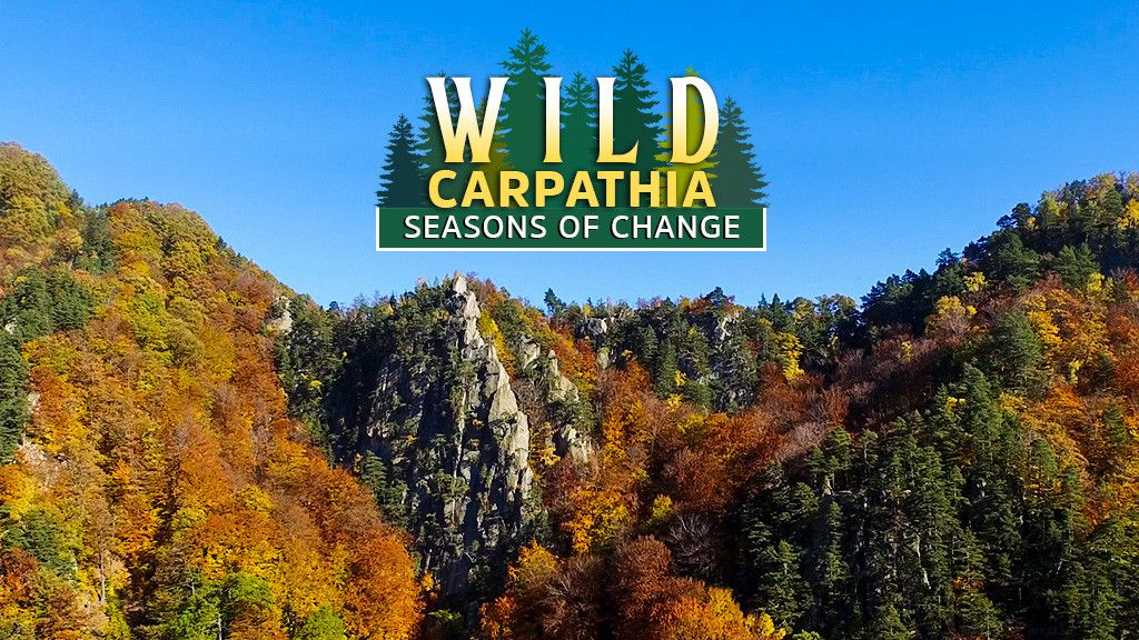 Wild Carpathia: Seasons of Change