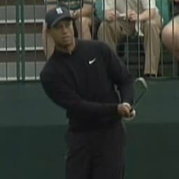 An Unauthorized Biography On Tiger Woods