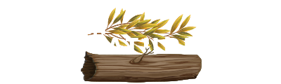 Sleeping in Nature