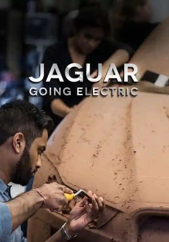 DocuBay Watch Documentaries Online, Documentary Films & Series Online