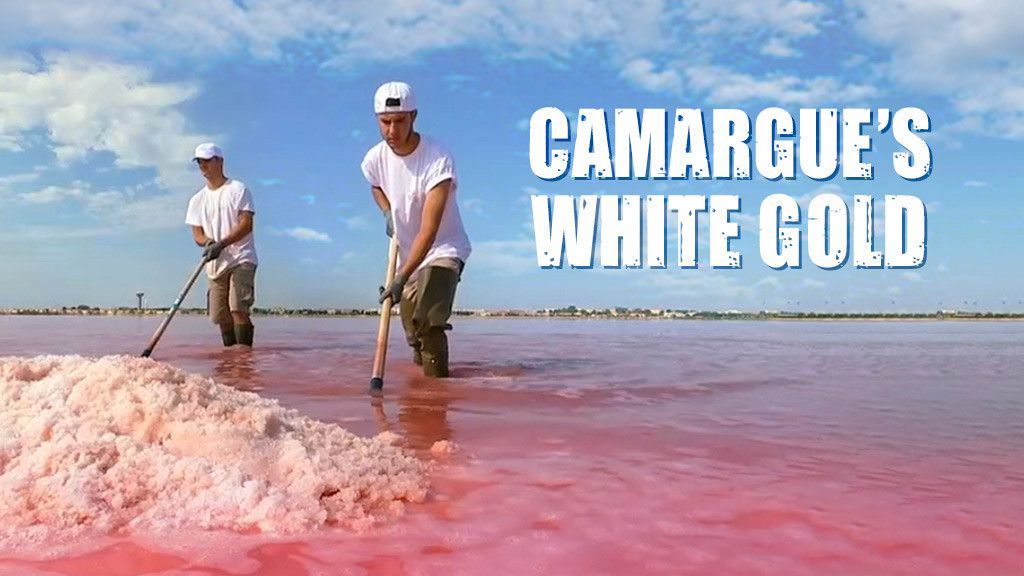 Camargue's White Gold