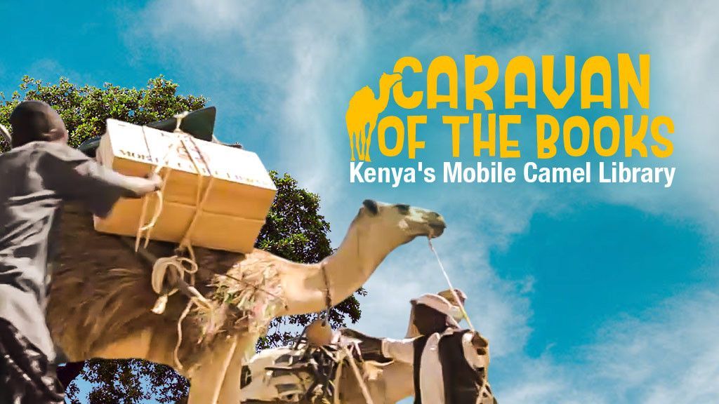 Caravan of the Books: Kenya's Mobile Camel Library
