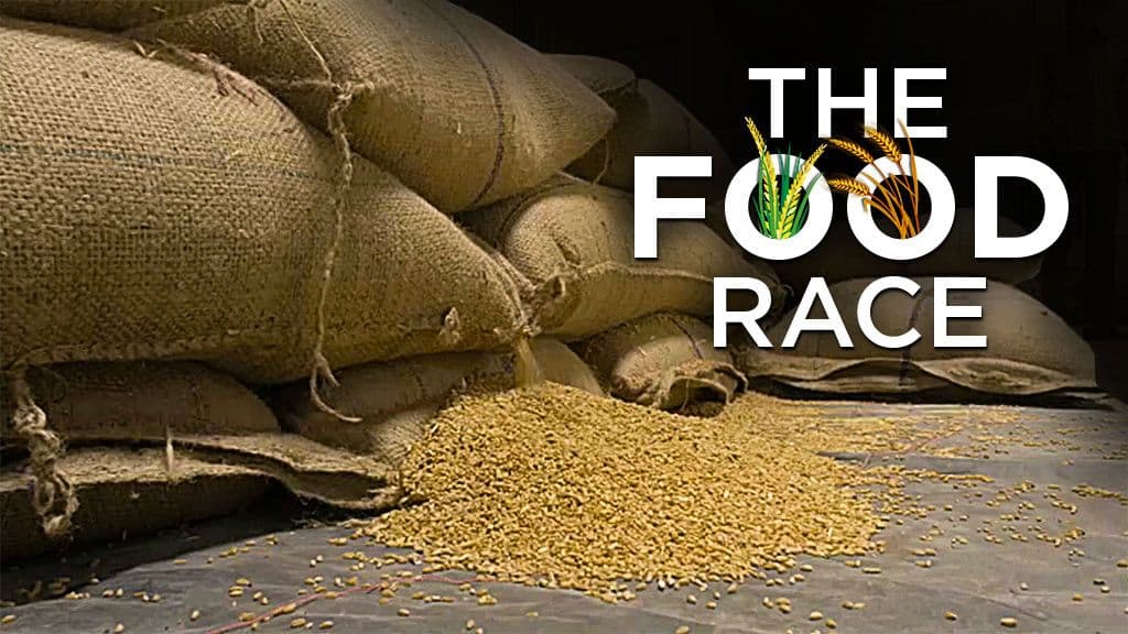 The Food Race - Pesticides, GMOs and Organic Farming on the test The Food Race - Pesticides, GMOs and Organic Farming on the test