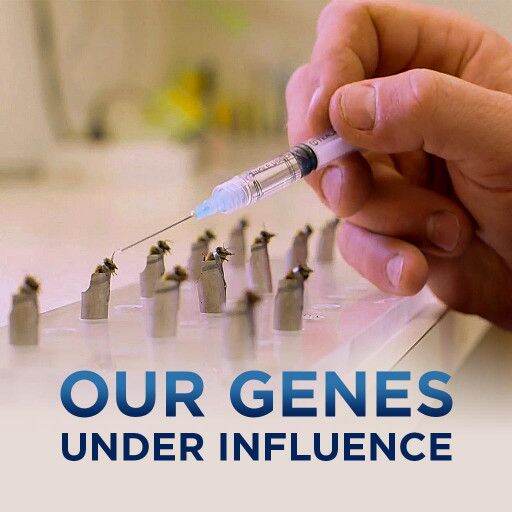 Our Genes Under Influence Our Genes Under Influence