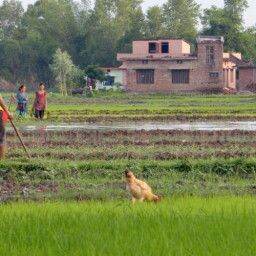 Shuklaphanta, The Other Wild Nepal
