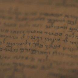 The Quest Of The Dead Sea Scrolls