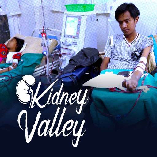Kidney Valley Kidney Valley