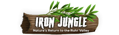 Iron Jungle - Nature's Return to the Ruhr Valley