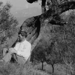 DH Lawrence: Sex, Exile and Greatness