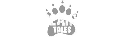Beary Tales