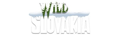 Wild Slovakia