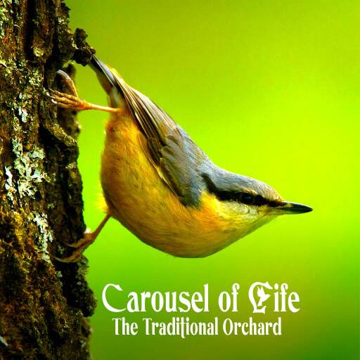 Carousel of Life - The Traditional Orchard Carousel of Life - The Traditional Orchard