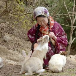 The Surprising World Of Rabbits