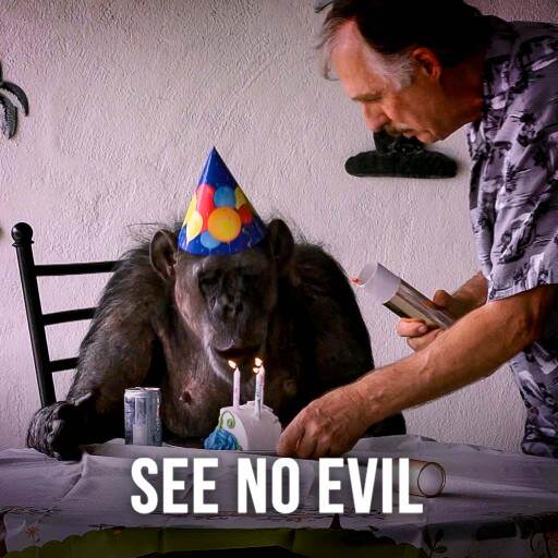 See No Evil See No Evil