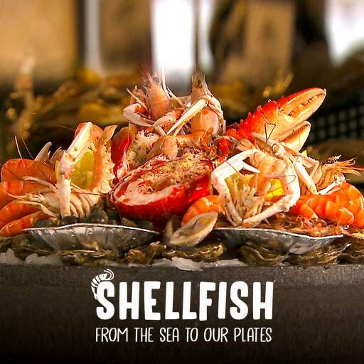 Shellfish: From The Sea To Our Plates Shellfish: From The Sea To Our Plates