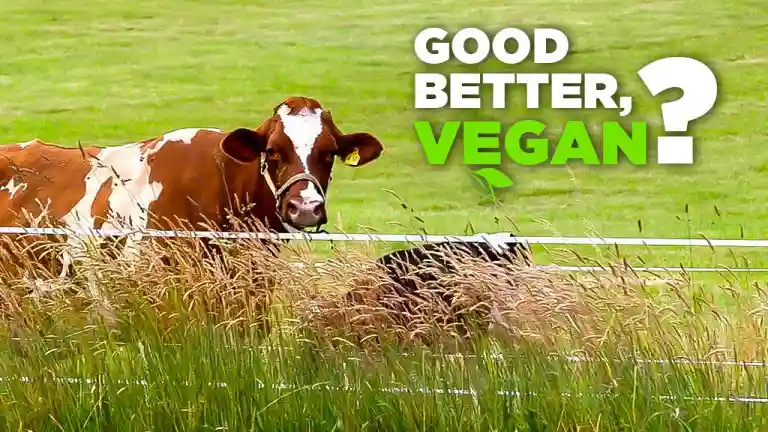 Good Better, Vegan? Good Better, Vegan?