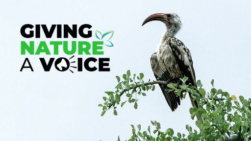 Giving Nature A Voice