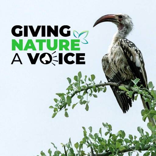 Giving Nature A Voice Giving Nature A Voice