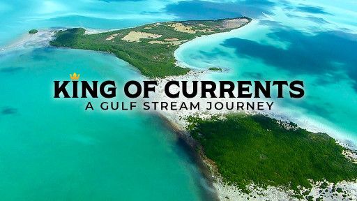 King of Currents - A Gulf Stream Journey