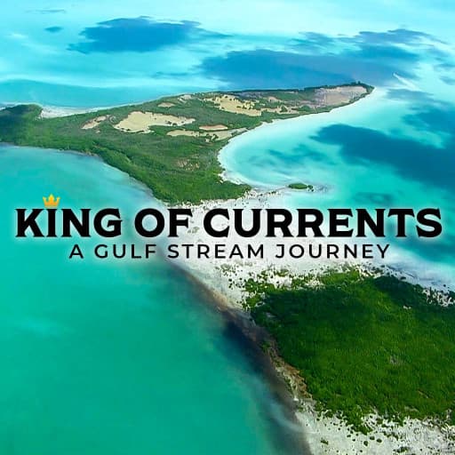 King of Currents - A Gulf Stream Journey King of Currents - A Gulf Stream Journey
