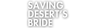 Saving Desert's Bride