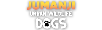 Jumanji: Urban Wildlife Dogs