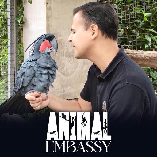 Animal Embassy Animal Embassy