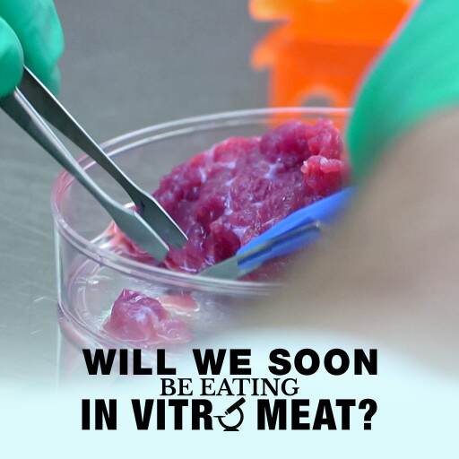 WILL WE SOON BE EATING IN VITRO MEAT? WILL WE SOON BE EATING IN VITRO MEAT?