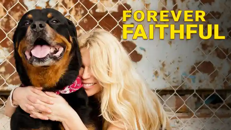 Forever Faithful Forever Faithful