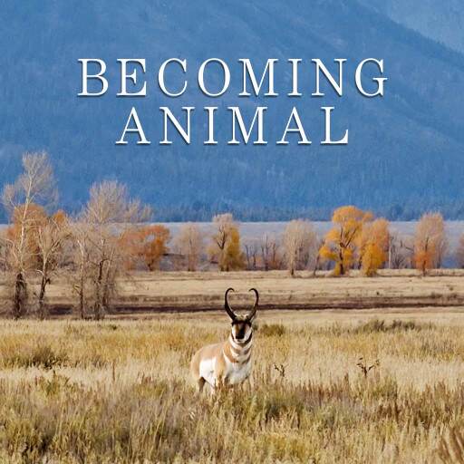 Becoming Animal Becoming Animal