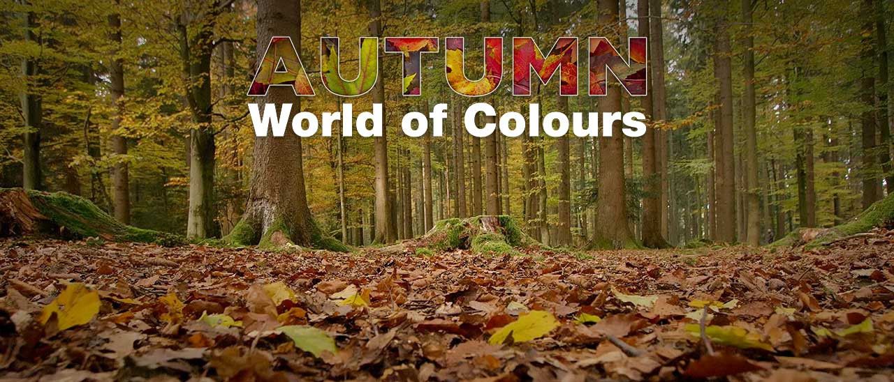 Autumn - World of Colours