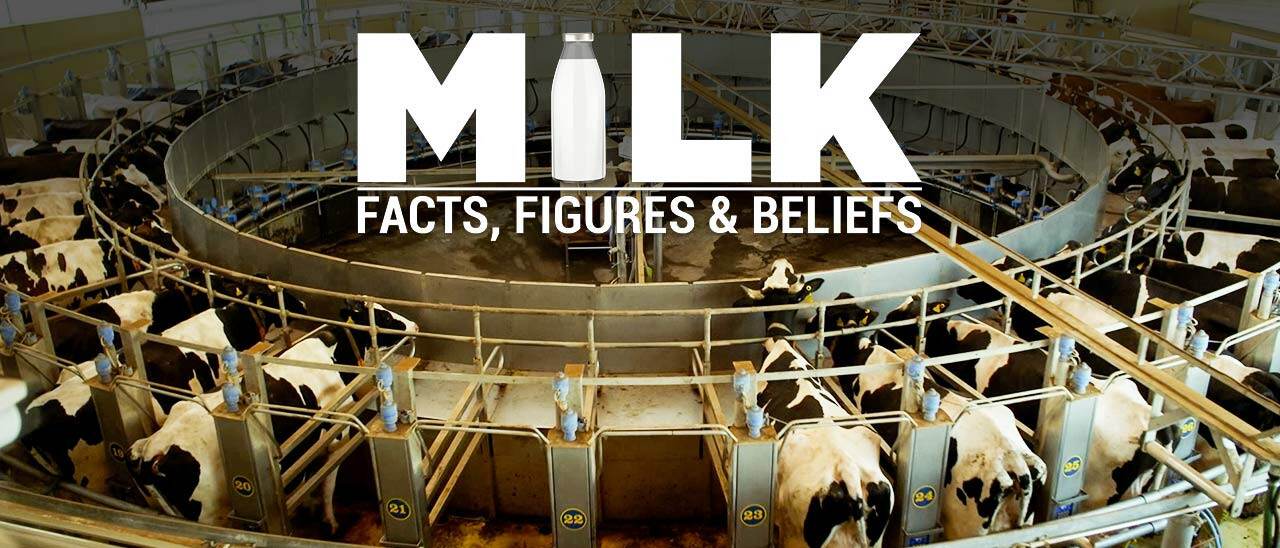 Milk - Facts, Figures & Beliefs